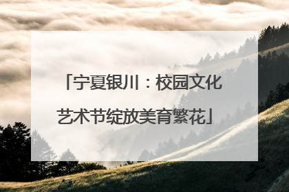 宁夏银川：校园文化艺术节绽放美育繁花