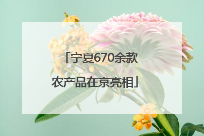 宁夏670余款农产品在京亮相