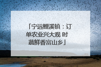 宁远鲤溪镇：订单农业兴大观 时蔬鲜香富山乡