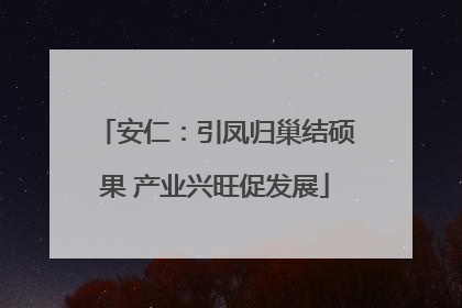 安仁：引凤归巢结硕果 产业兴旺促发展