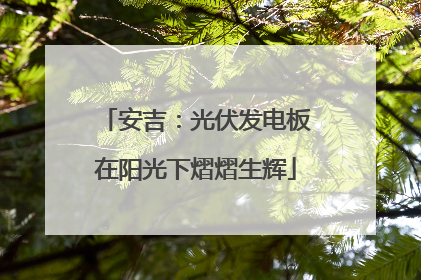 安吉：光伏发电板在阳光下熠熠生辉