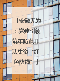 安徽无为：党建引领筑牢防范非法集资“红色防线”