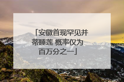 安徽首现罕见并蒂睡莲 概率仅为百万分之一