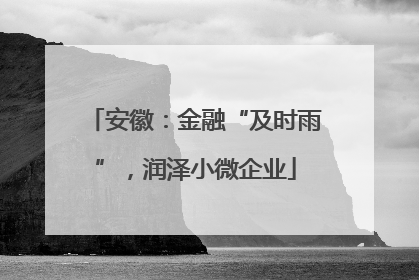 安徽：金融“及时雨”，润泽小微企业