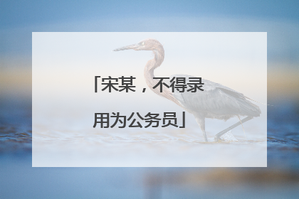 宋某，不得录用为公务员