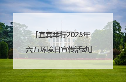 宜宾举行2025年六五环境日宣传活动