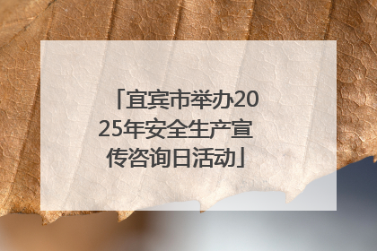宜宾市举办2025年安全生产宣传咨询日活动