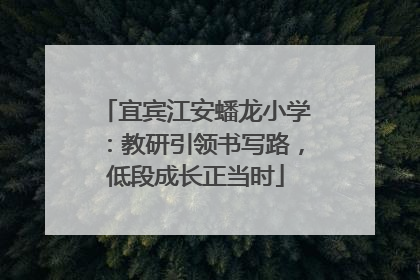宜宾江安蟠龙小学：教研引领书写路，低段成长正当时