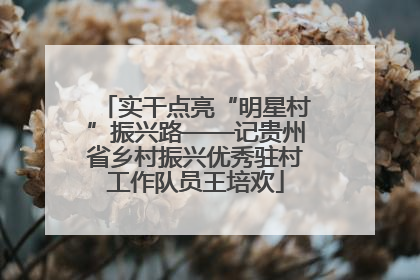 实干点亮“明星村”振兴路——记贵州省乡村振兴优秀驻村工作队员王培欢