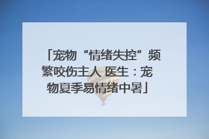 宠物“情绪失控”频繁咬伤主人 医生：宠物夏季易情绪中暑