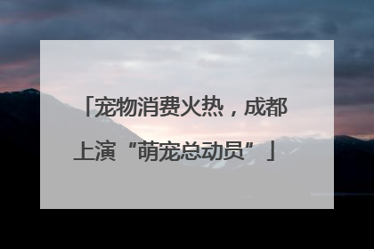 宠物消费火热，成都上演“萌宠总动员”