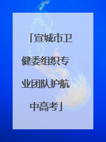 宣城市卫健委组织专业团队护航中高考