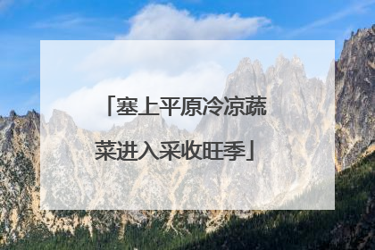 塞上平原冷凉蔬菜进入采收旺季