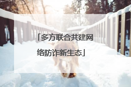 多方联合共建网络防诈新生态