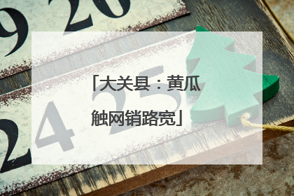 大关县：黄瓜触网销路宽