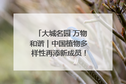大城名园 万物和谐｜中国植物多样性再添新成员！它只在西藏墨脱