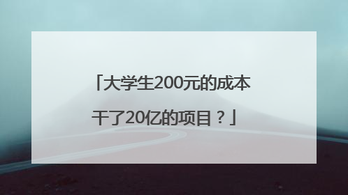 大学生200元的成本干了20亿的项目？