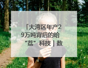 大湾区年产29万吨背后的给“荔”科技｜数说大湾区