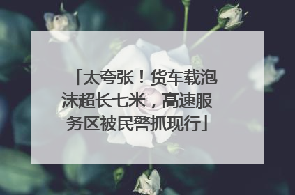 太夸张！货车载泡沫超长七米，高速服务区被民警抓现行