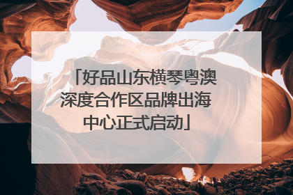 好品山东横琴粤澳深度合作区品牌出海中心正式启动