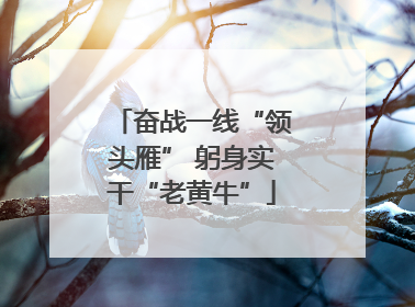 奋战一线“领头雁” 躬身实干“老黄牛”