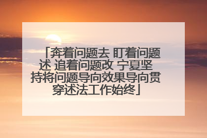 奔着问题去 盯着问题述 追着问题改 宁夏坚持将问题导向效果导向贯穿述法工作始终