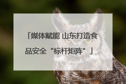 媒体赋能 山东打造食品安全“标杆矩阵”