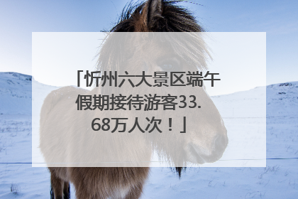 忻州六大景区端午假期接待游客33.68万人次！
