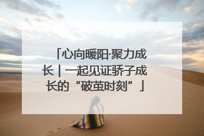 心向暖阳·聚力成长｜一起见证骄子成长的“破茧时刻”