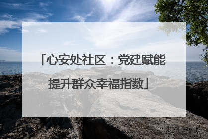 心安处社区：党建赋能 提升群众幸福指数