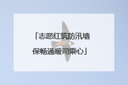 志愿红筑防汛墙 保畅通暖司乘心