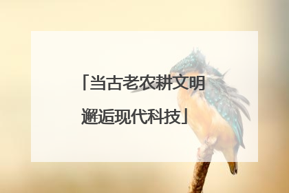 当古老农耕文明邂逅现代科技