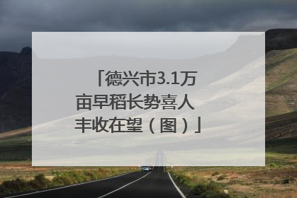 德兴市3.1万亩早稻长势喜人 丰收在望（图）