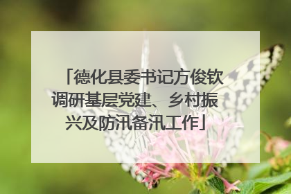 德化县委书记方俊钦调研基层党建、乡村振兴及防汛备汛工作