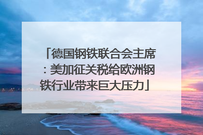 德国钢铁联合会主席：美加征关税给欧洲钢铁行业带来巨大压力