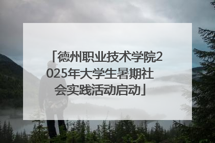 德州职业技术学院2025年大学生暑期社会实践活动启动