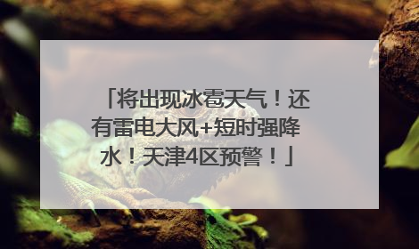 将出现冰雹天气！还有雷电大风+短时强降水！天津4区预警！