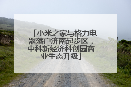 小米之家与格力电器落户济南起步区，中科新经济科创园商业生态升级