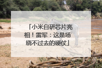 小米自研芯片亮相！雷军：这是场绕不过去的硬仗