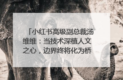 小红书高级副总裁汤维维：当技术深植人文之心，边界终将化为桥梁｜聚焦2025文化强国建设高峰论坛