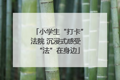 小学生“打卡”法院 沉浸式感受“法”在身边