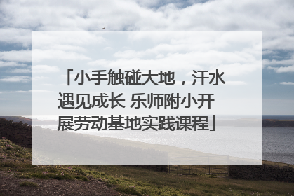 小手触碰大地，汗水遇见成长 乐师附小开展劳动基地实践课程