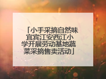 小手采摘自然味 宜宾江安西江小学开展劳动基地蔬菜采摘售卖活动