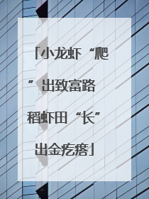 小龙虾“爬”出致富路 稻虾田“长”出金疙瘩