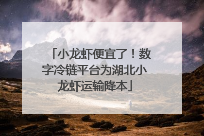 小龙虾便宜了！数字冷链平台为湖北小龙虾运输降本
