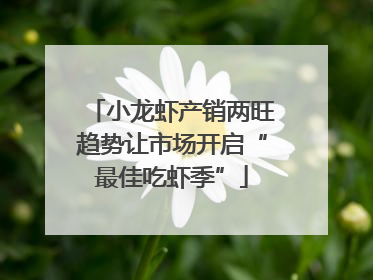 小龙虾产销两旺趋势让市场开启“最佳吃虾季”