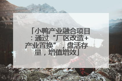 小鸭产业融合项目：通过“厂区改造+产业置换”，盘活存量，增值增效