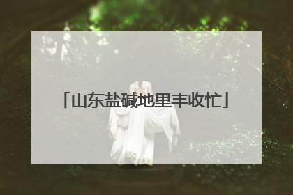 山东盐碱地里丰收忙