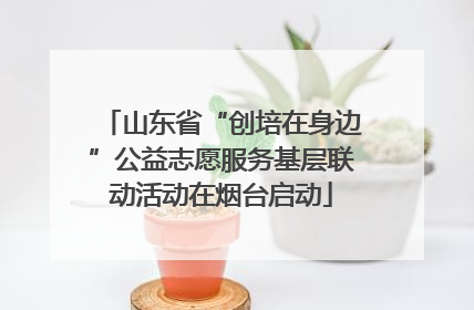 山东省“创培在身边”公益志愿服务基层联动活动在烟台启动