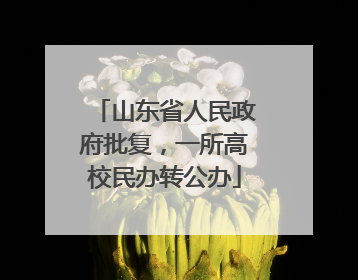 山东省人民政府批复，一所高校民办转公办
